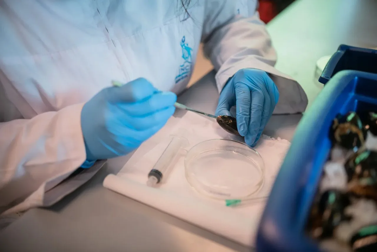 Investigadores abordarán los desafíos que enfrenta la mitilicultura chilena en el SIIAM 2026