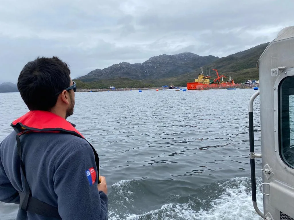 Sernapesca informa detección de virus ISA en nuevo centro de cultivo de la región de Aysén