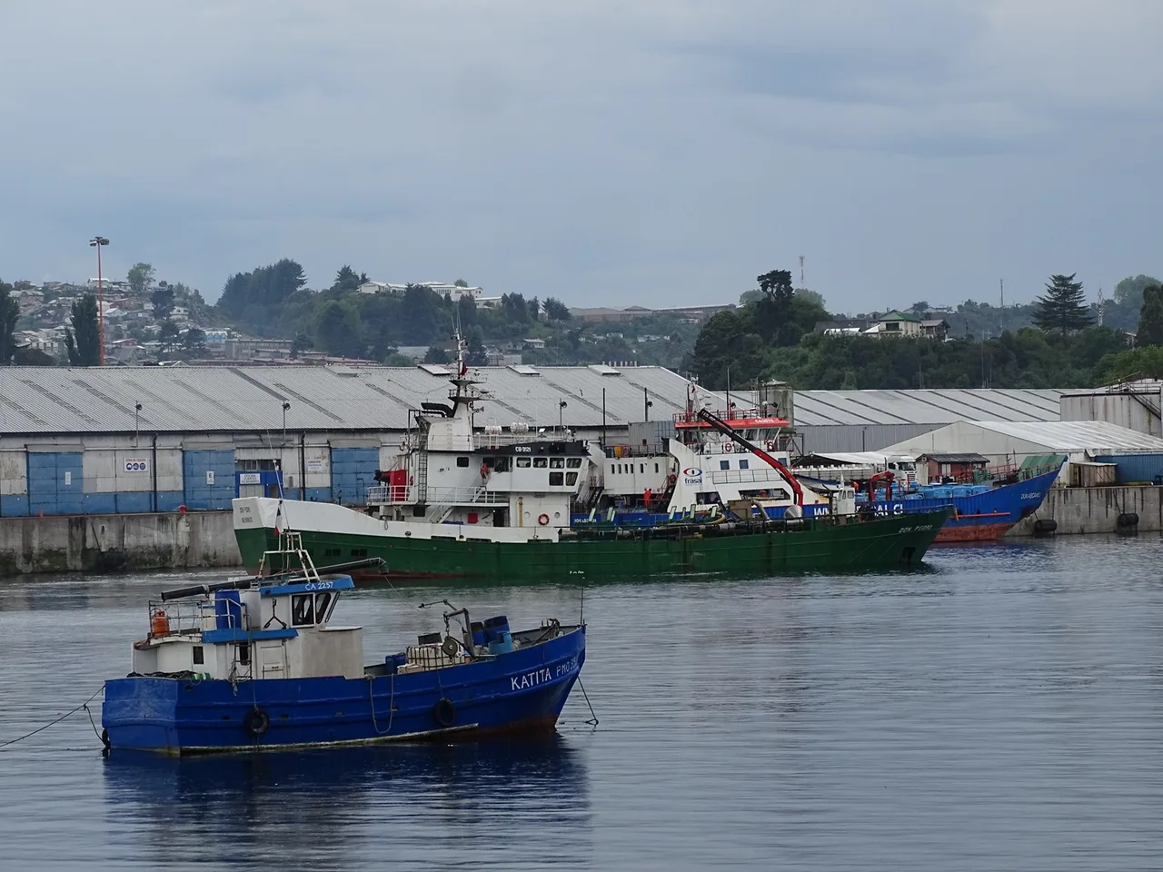 Presentarán nueva radiografía sobre el impacto económico y territorial de la salmonicultura en Chile