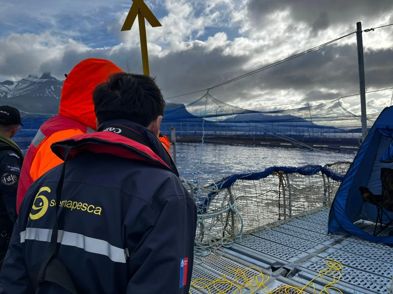 Sernapesca informó activación de planes de contingencia por floración algal nociva en Magallanes