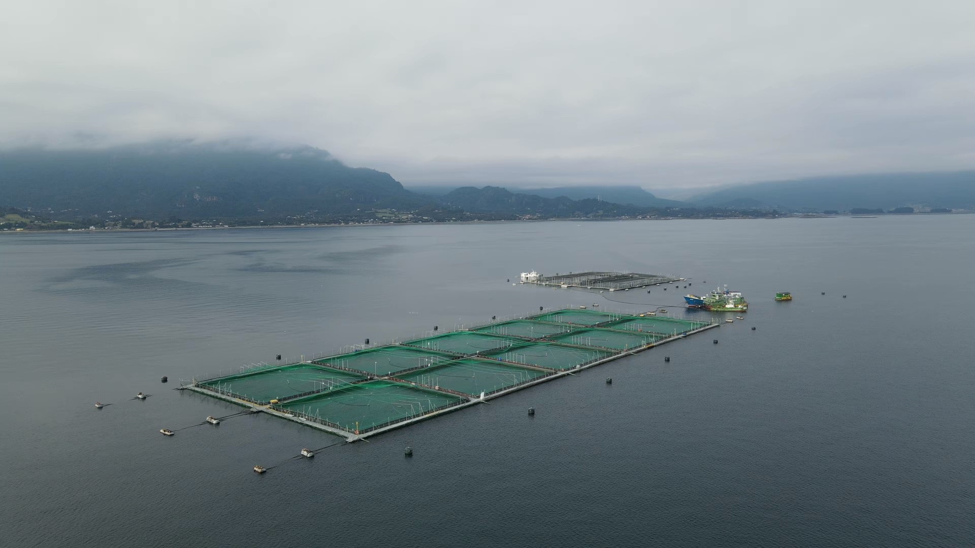 Por unanimidad: Aprueban plan de validación del Programa de Acuicultura Oceánica de Corfo