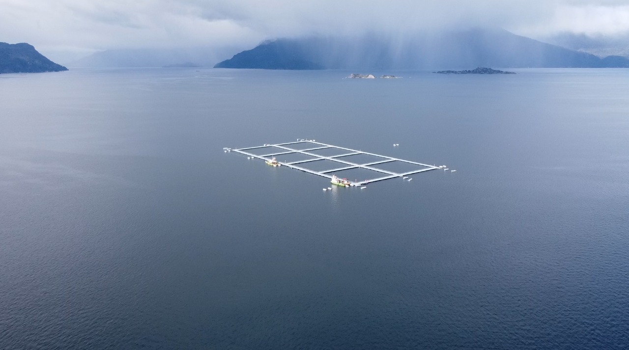 Programa de acuicultura en zonas de alta energía continúa avanzando en Chile
