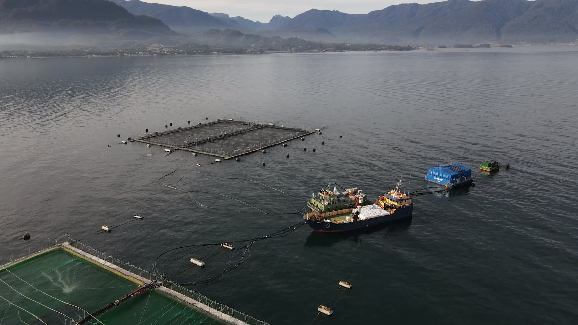 [+VIDEO] Acuicultura: Exponen los programas de Corfo que buscan ser una solución ante los impactos del cambio climático