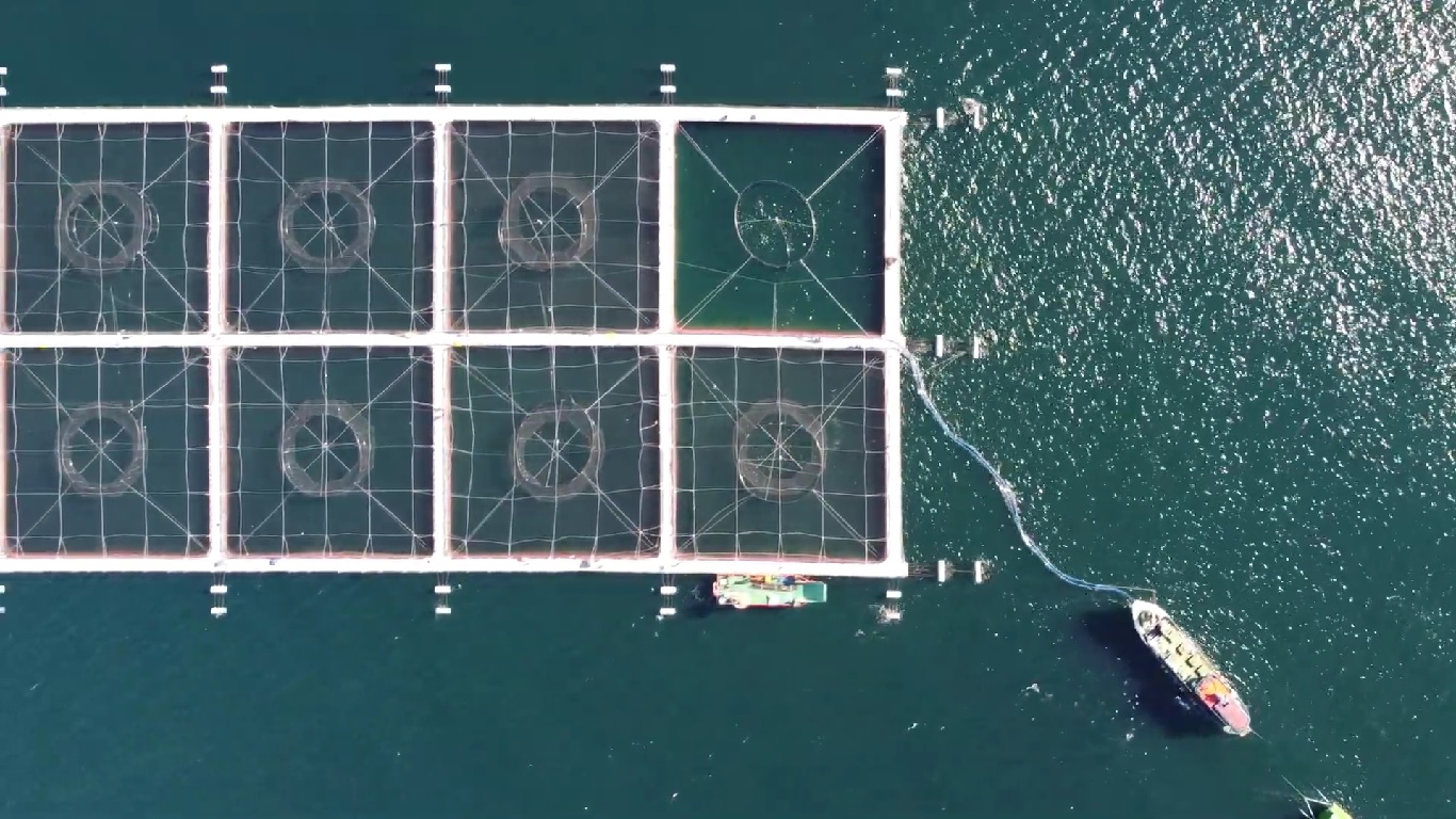Para dos iniciativas estratégicas: Programa de acuicultura oceánica de Corfo abre un nuevo proceso de licitación
