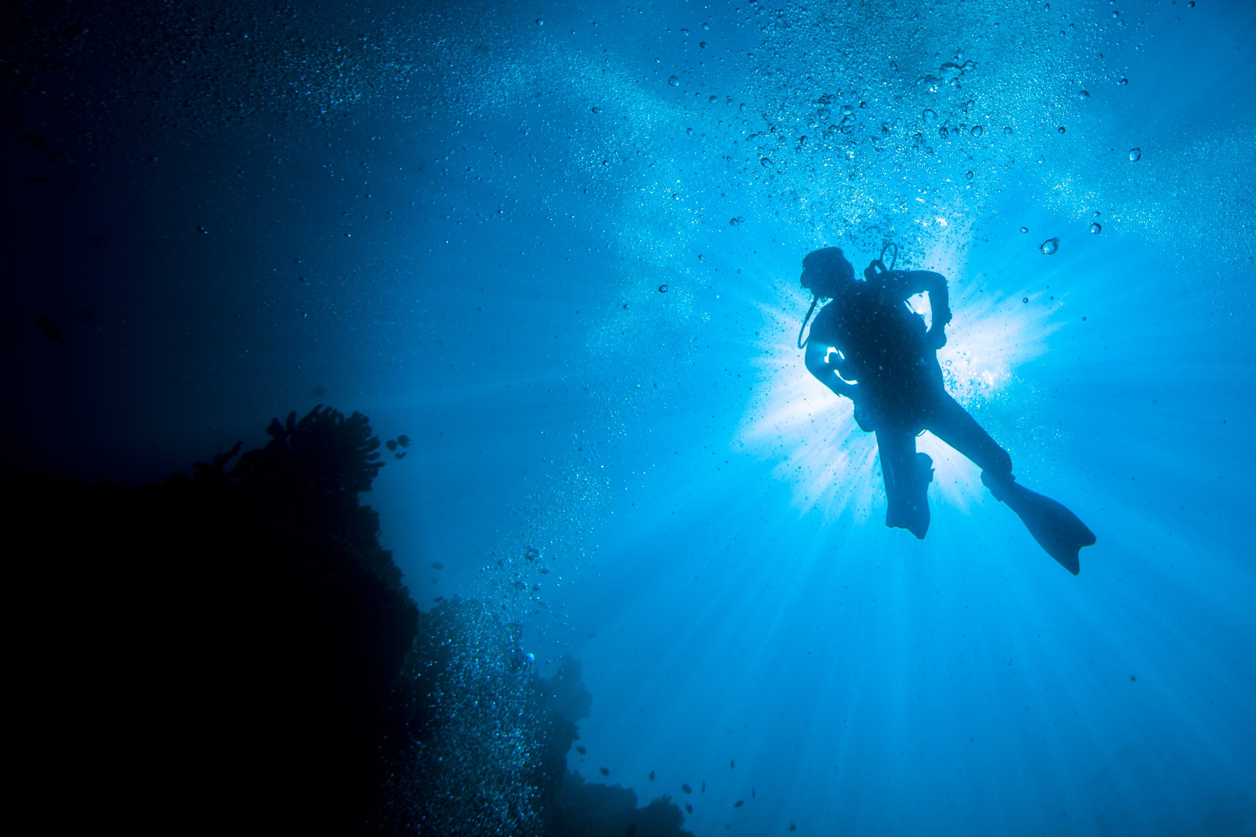 En el sur de Chile: Reactivan mesa para fomentar el buceo seguro