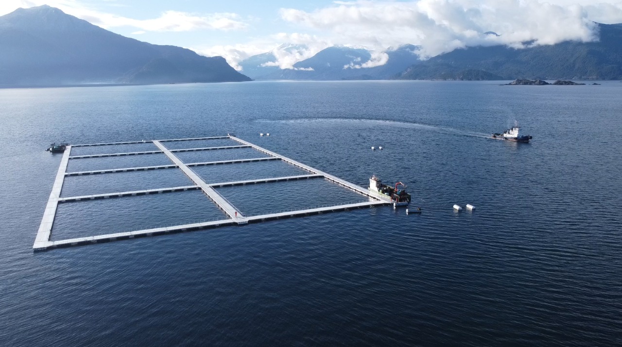 Para descargar: Nuevo documento de la FAO aborda las implicancias de las tecnologías genéticas para la acuicultura y la pesca
