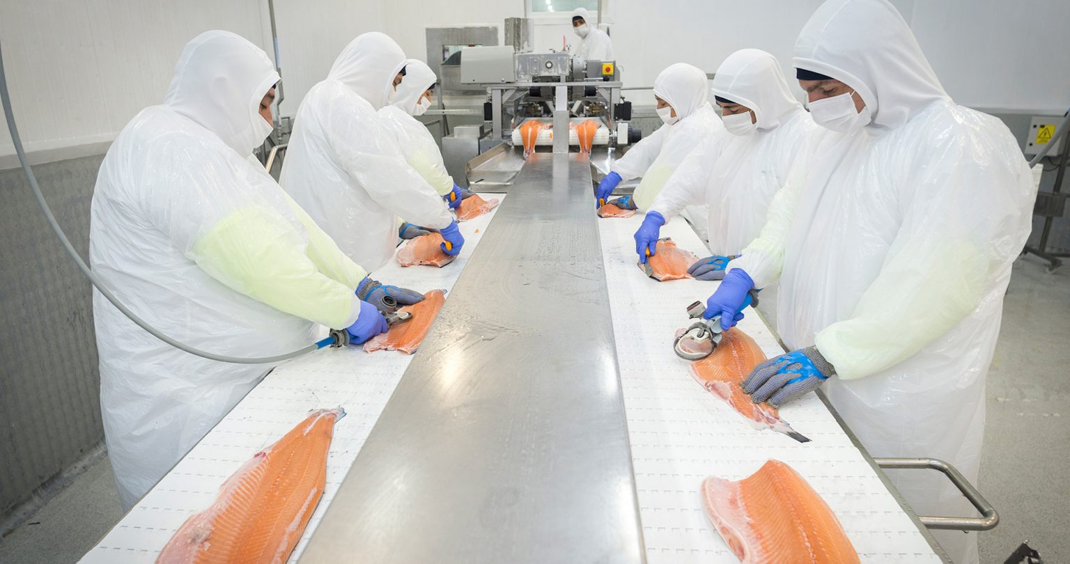 Las nuevas oportunidades que presenta India para el salmón chileno