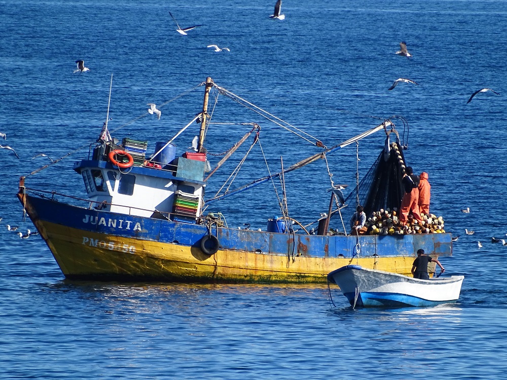 Conozca los 50 principales contenidos de la nueva Ley de Pesca