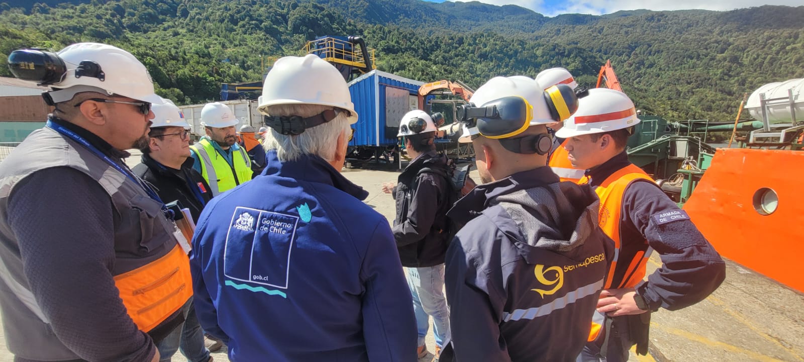 FAN: Confirman el retiro total de la mortalidad de peces en Aysén