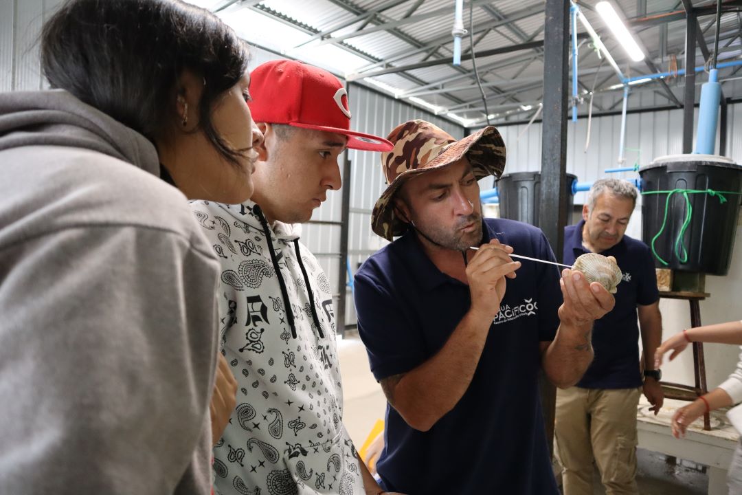 Futuros técnicos en acuicultura se capacitan en el ostión del norte
