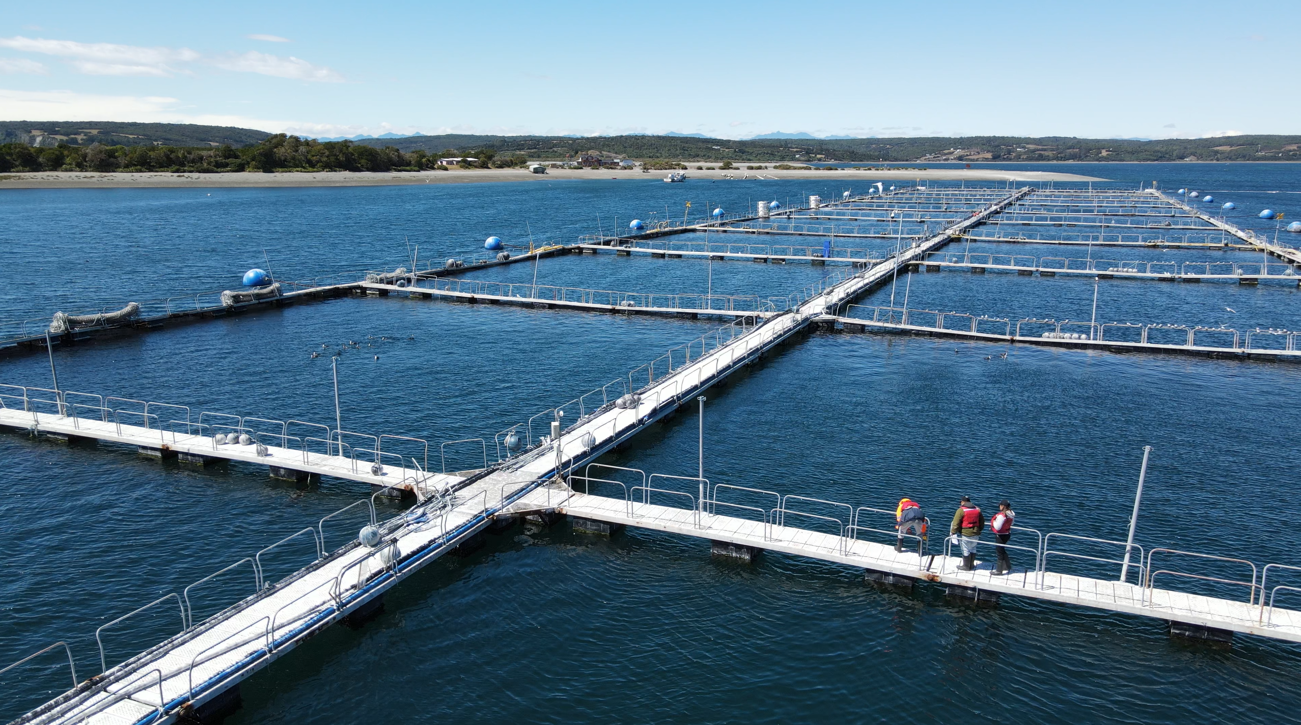 Presentan innovadora tecnología de infraestructura marítima