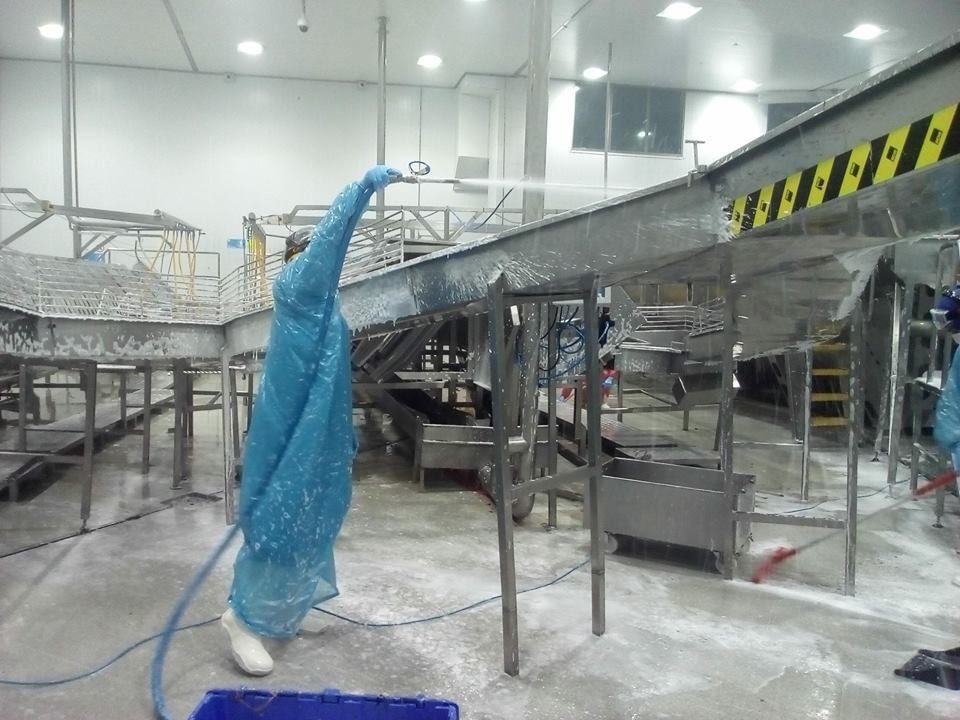 En Puerto Montt se realizará charla sobre desinfección en la industria acuícola