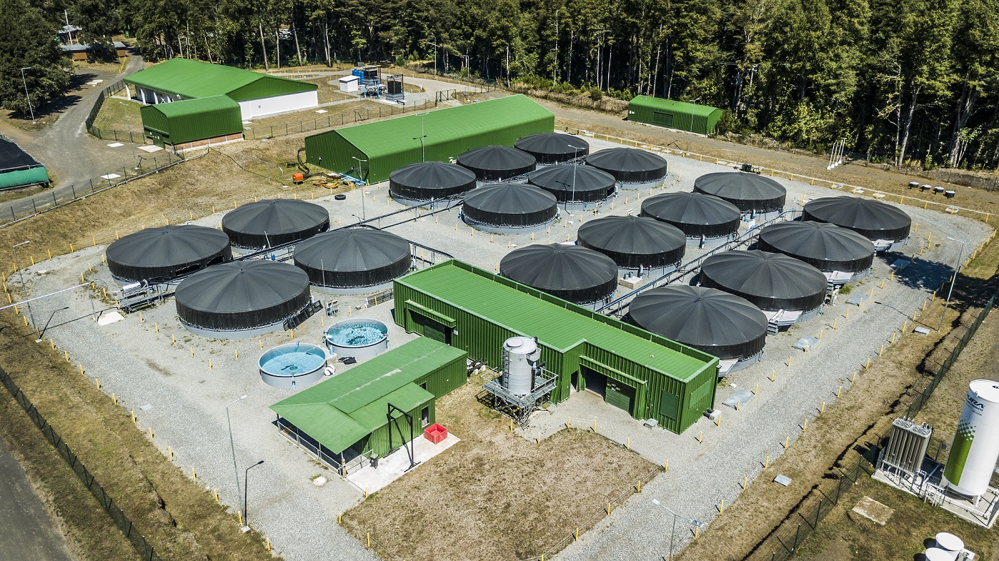 Destacan exportación de ovas de salmón desde La Araucanía