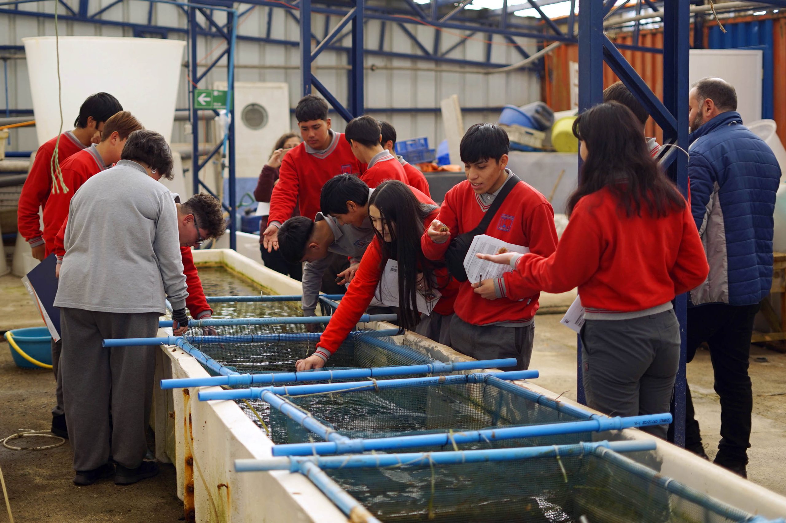 Estudiantes de acuicultura realizan visita técnica a Fundación Chinquihue