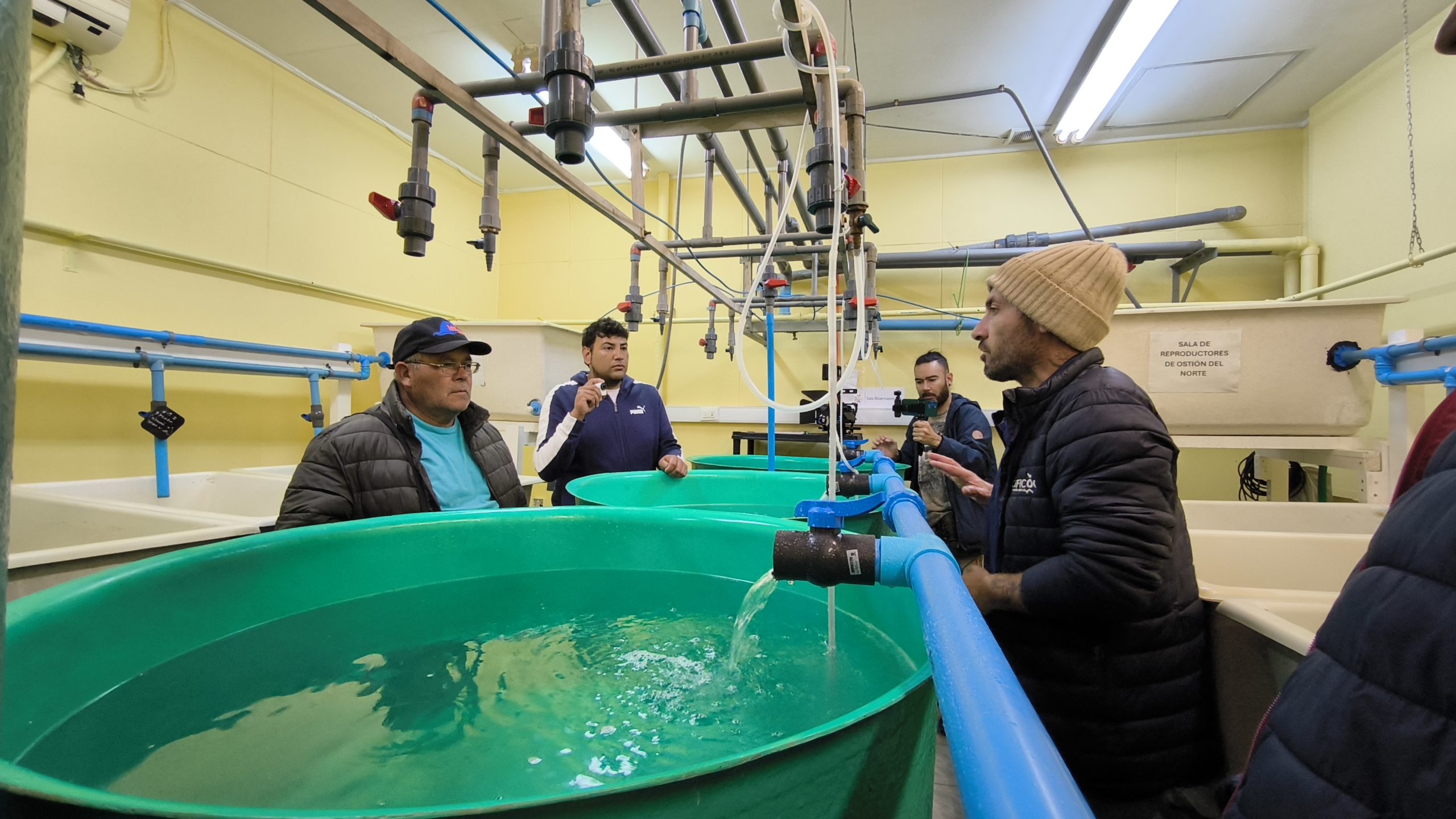 Acuicultores se interiorizan en nuevas tecnologías para la producción continua de semillas de ostión