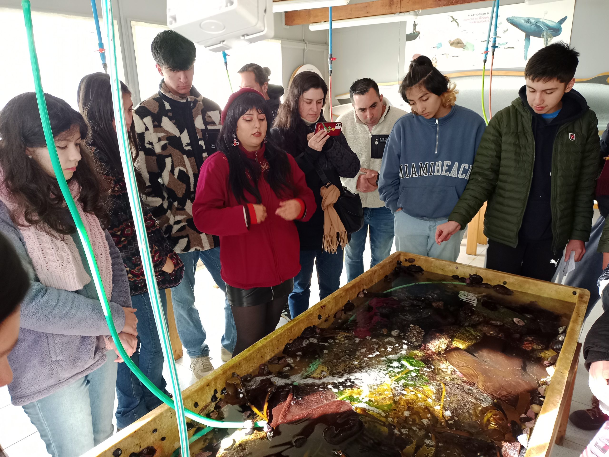 Divulgando ciencias del mar para la comunidad desde Lenga