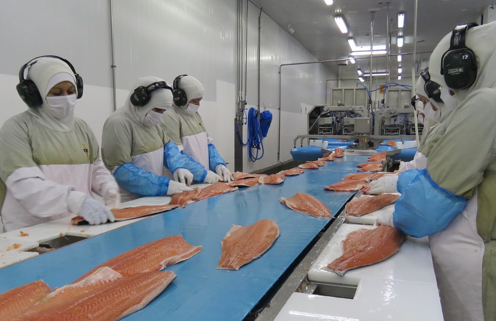 Conozca las principales exportadoras de salmónidos del primer trimestre