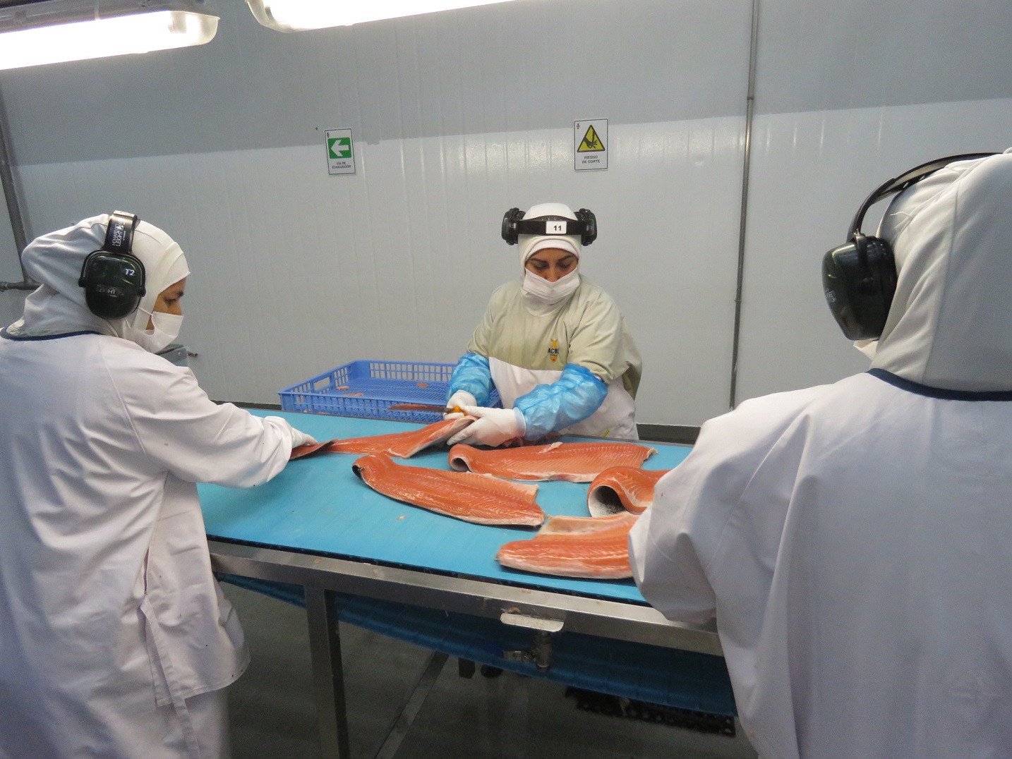 Realizarán inédita jornada para potenciar la salmonicultura del futuro