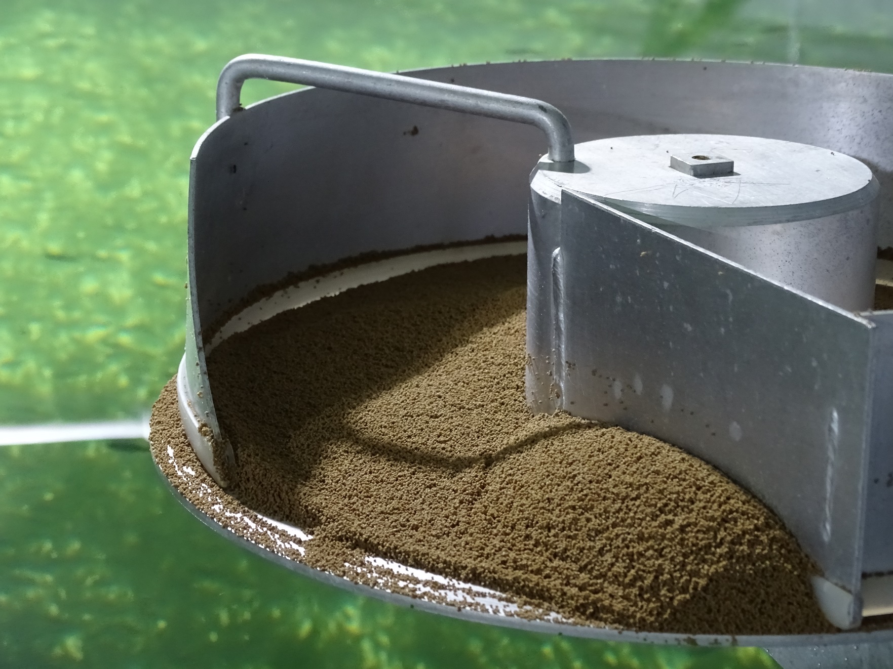 Estudiantes del Magíster en Nutrición Acuícola UACh realizaron pasantía en Baja California