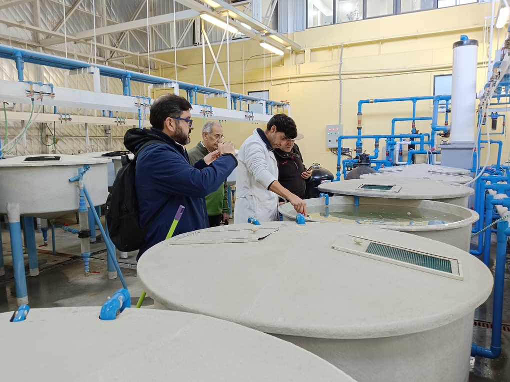 Con el PTEC-INVA como protagonista: Chile albergará seminario de nutrición de peces