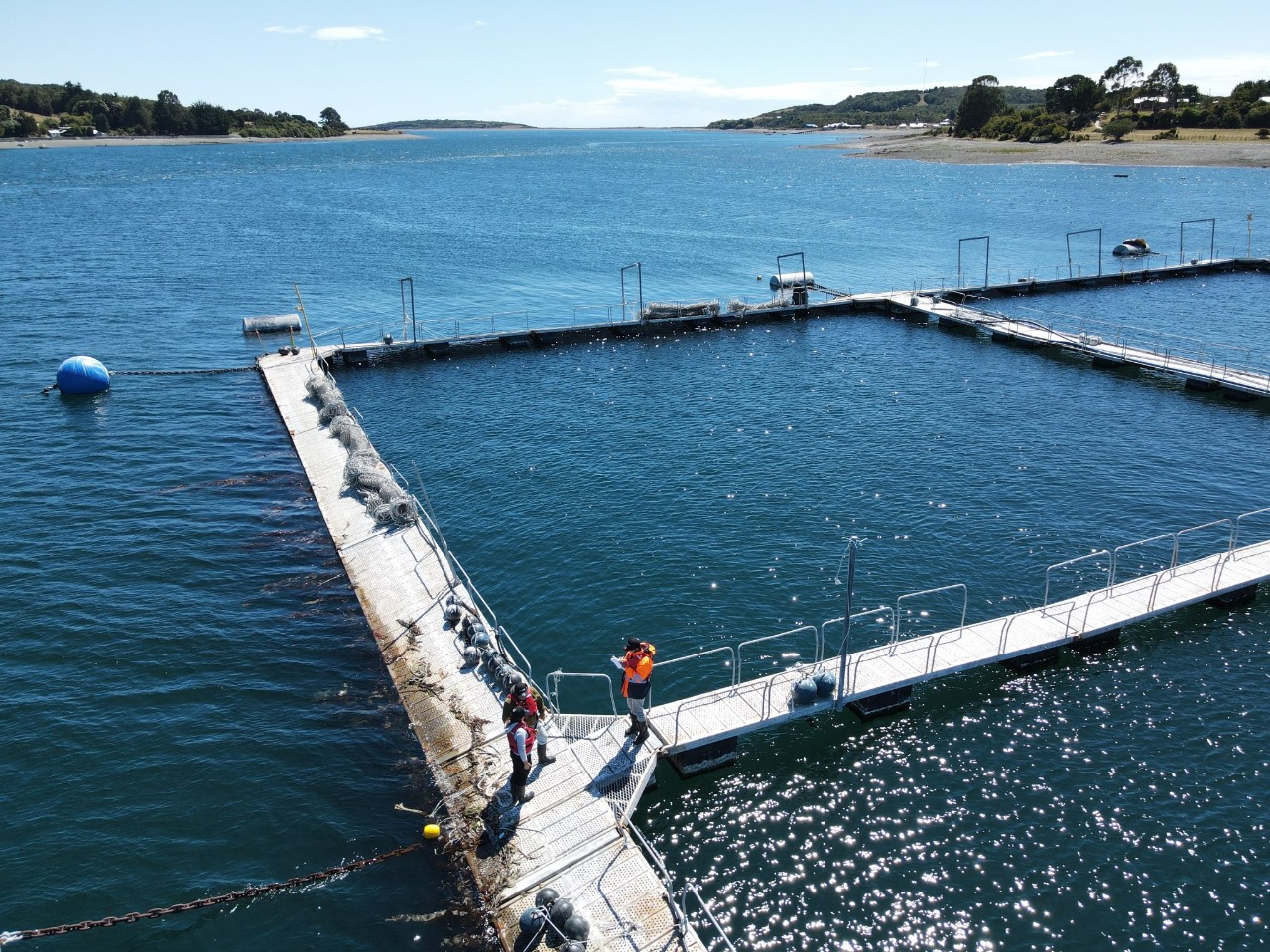 Webinar abordará la ingeniería oceánica en Chile