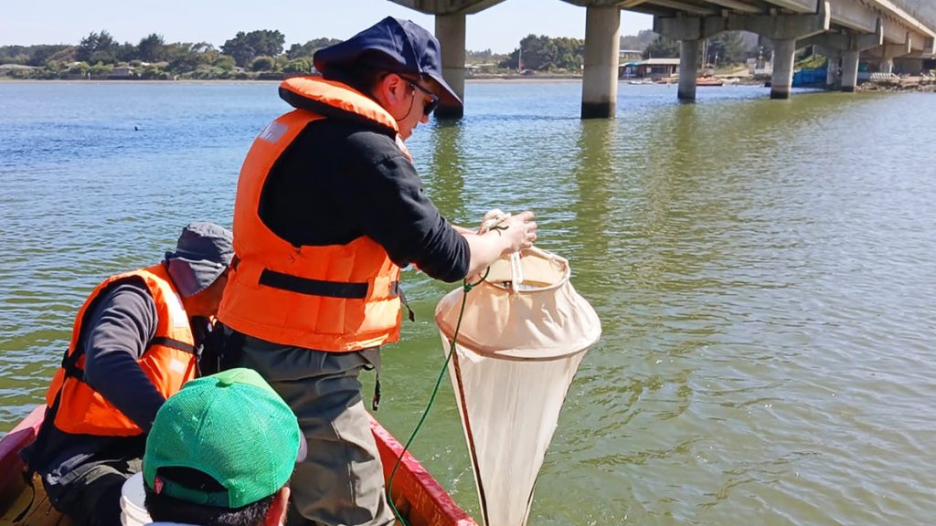 Buscan potenciar la acuicultura de pequeña escala en O'Higgins y el Maule