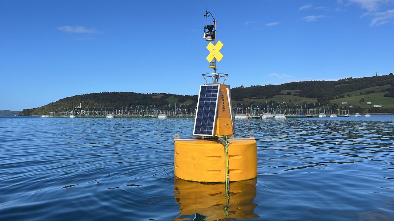 Innovex sigue avanzando en monitoreo oceánico con nueva boya