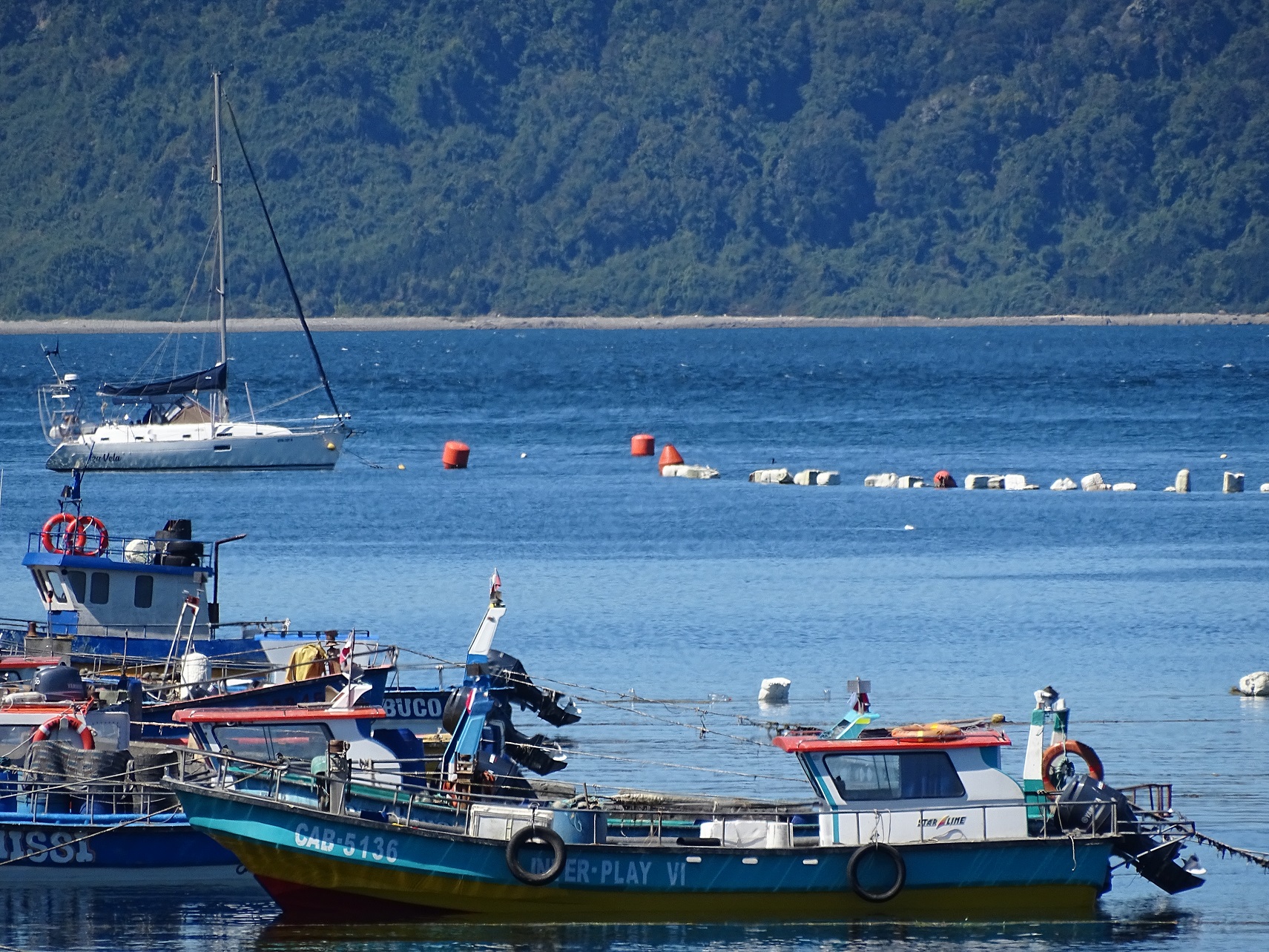 Seminario Internacional abordará manejo de recursos marinos ante el cambio climático