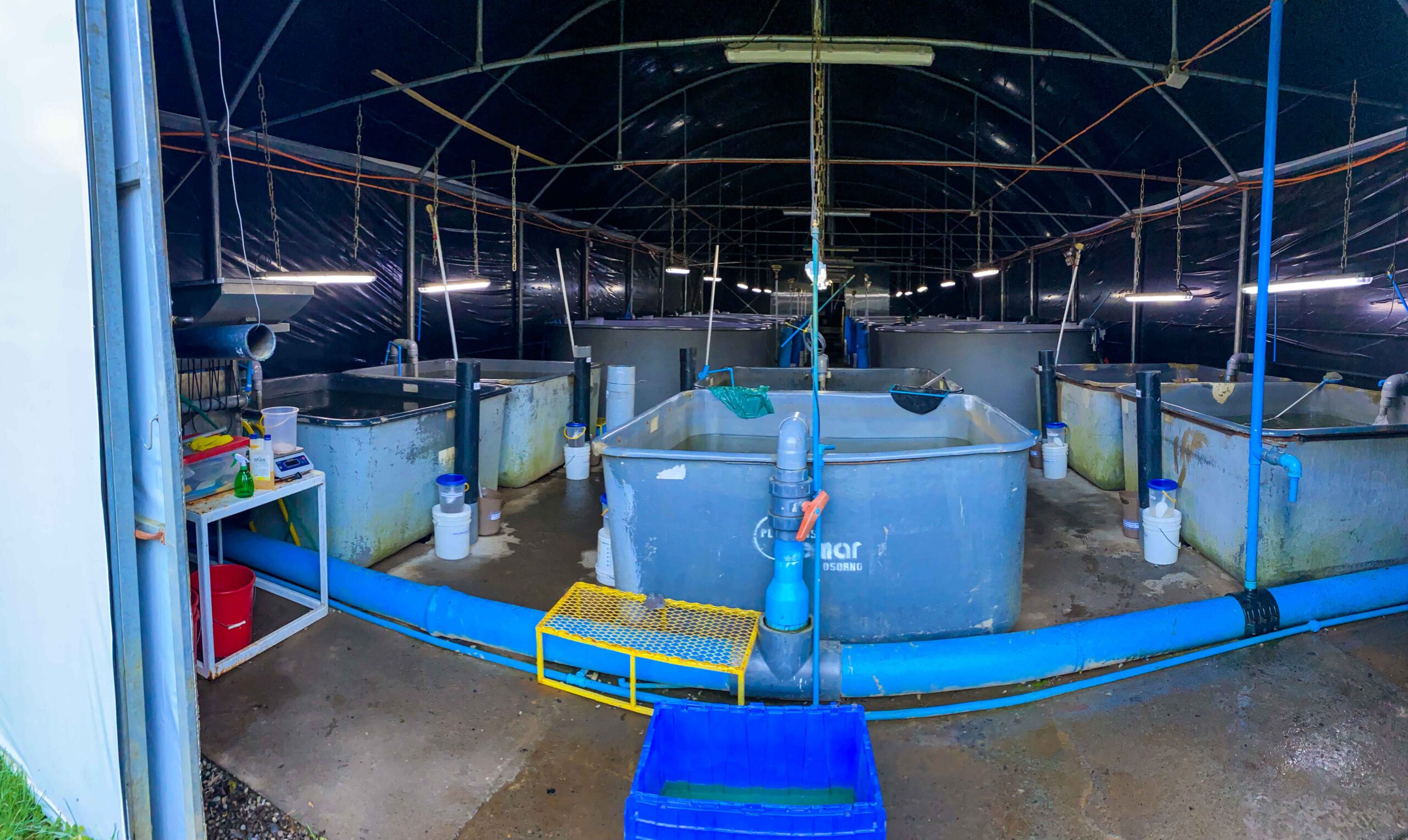 En tierra: 30 millones para apoyar cultivos de pequeña escala