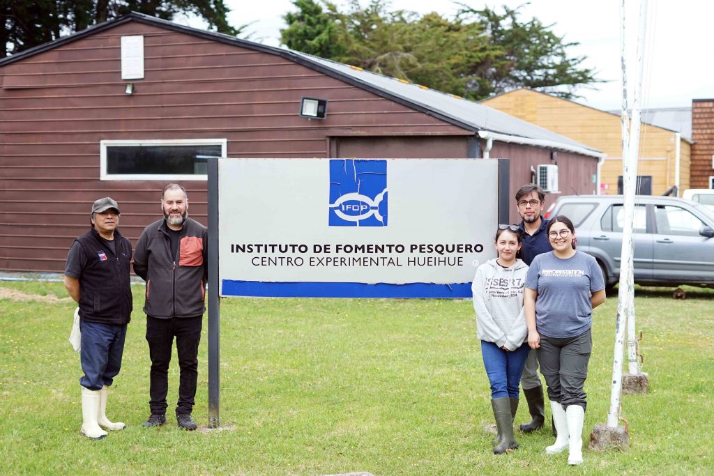 Transfieren tecnología para producir ostras y ostiones