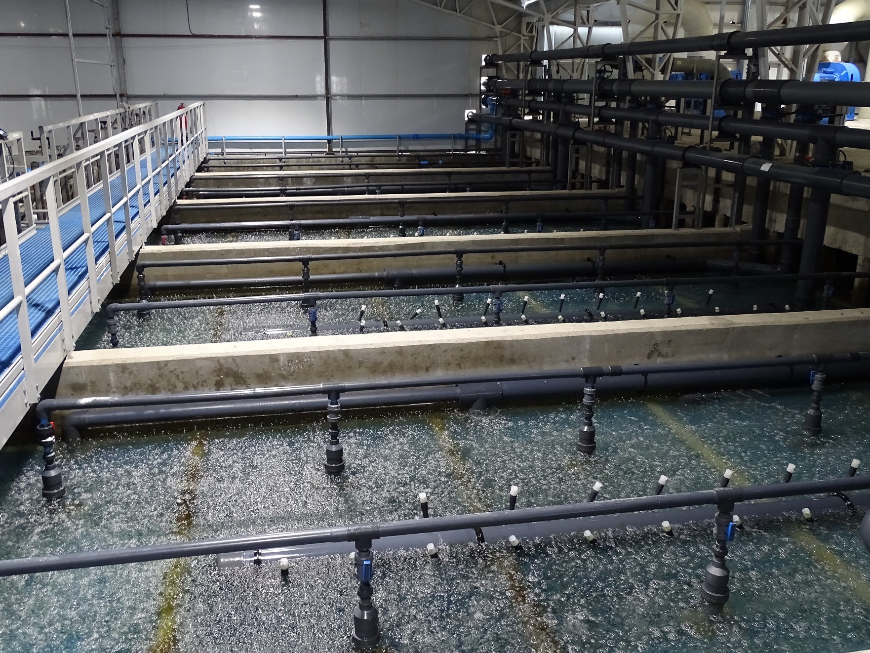 Residuos generados por la pesca y acuicultura tendrán declaración separada de la agroindustria