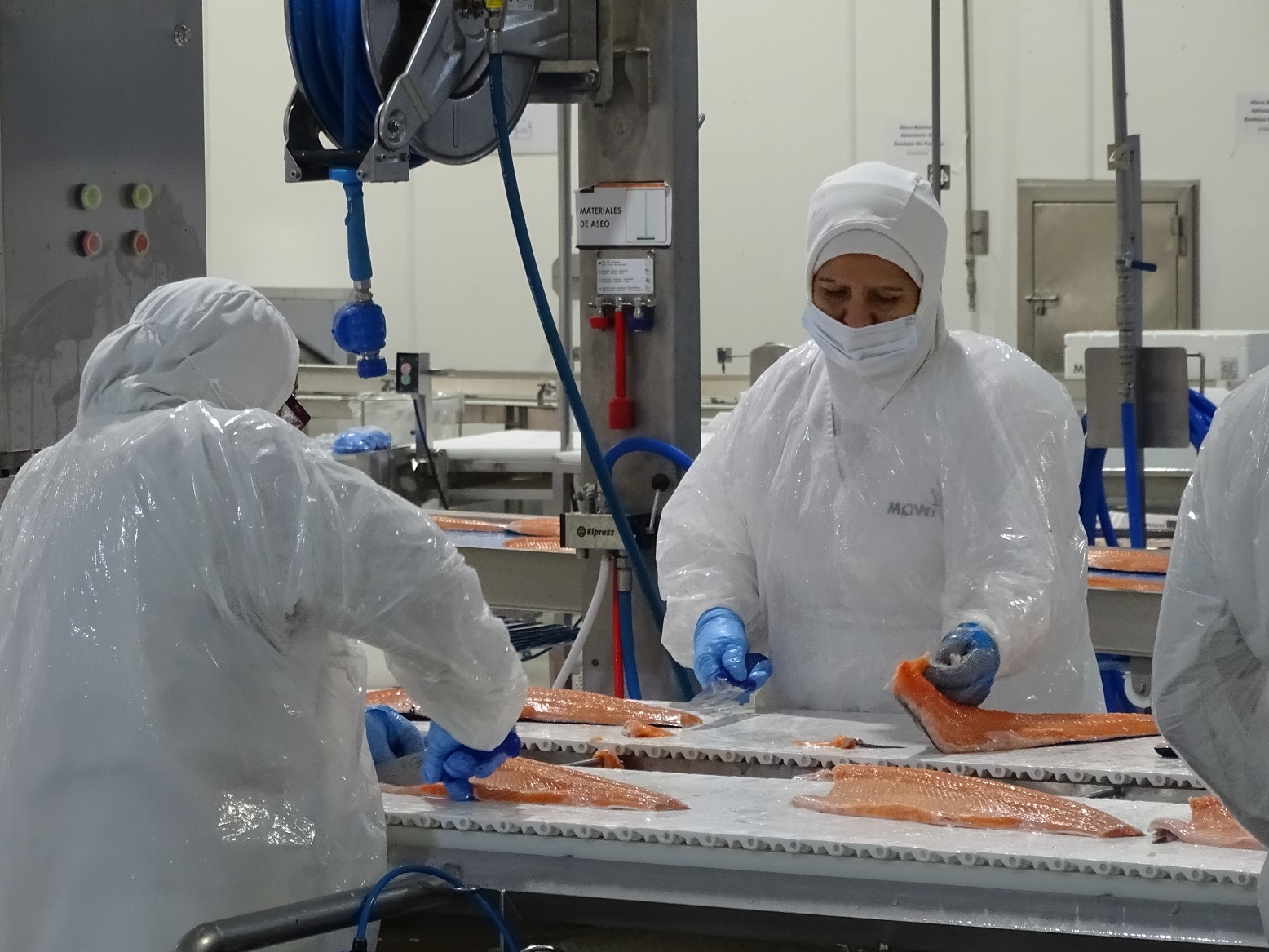 Oficializan el “Día de la Persona Trabajadora de la Industria Salmonera” destacando su aporte al crecimiento económico del país