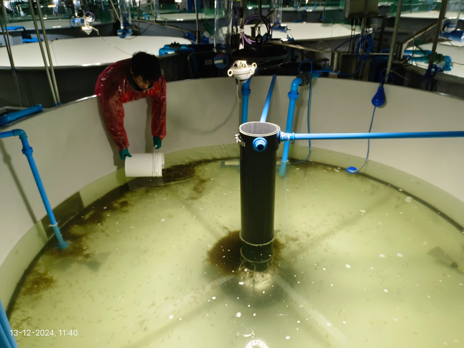 Sistema de autolimpieza para la acuicultura logra mejorar la producción y sanidad en cultivos
