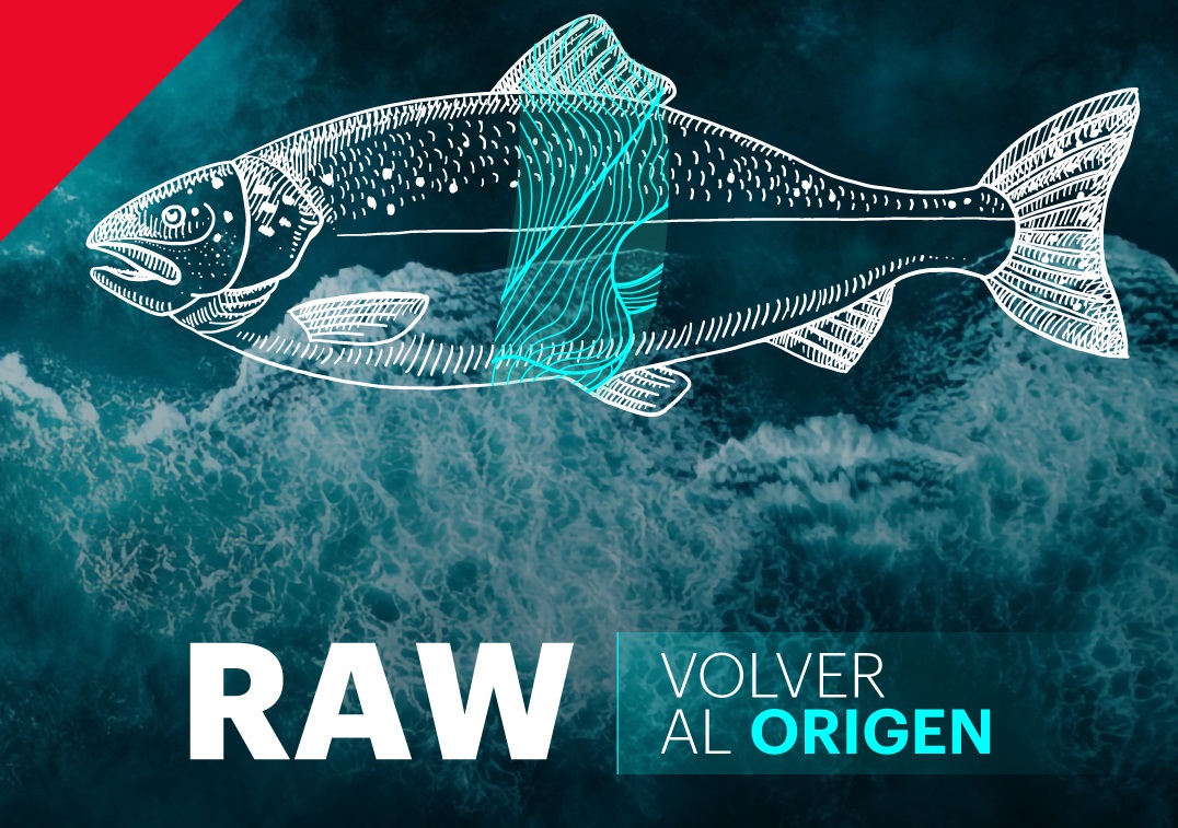 Empresas se unen para desarrollar innovadora línea de alimento para salmones orgánicos