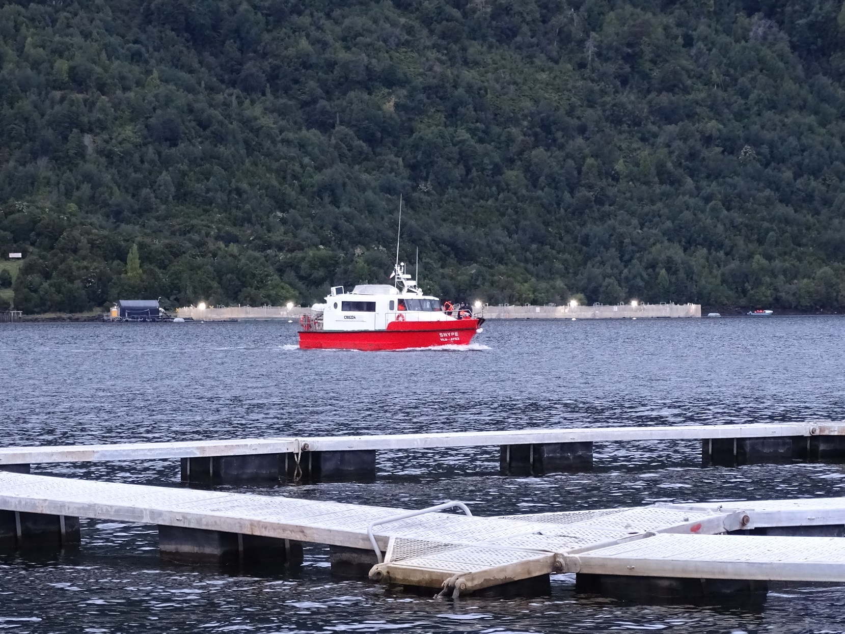 Salmonicultura impulsa crecimiento económico de Aysén y refuerza su rol estratégico en esa región