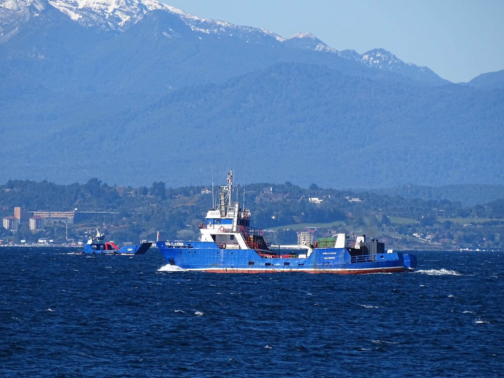 Generan alianza que incorpora protección de ballenas en mapas oficiales de navegación de Chile