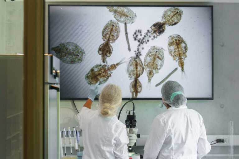 Conmemoran 15 años de empresa que desarrolla alternativas no farmacológicas para la acuicultura