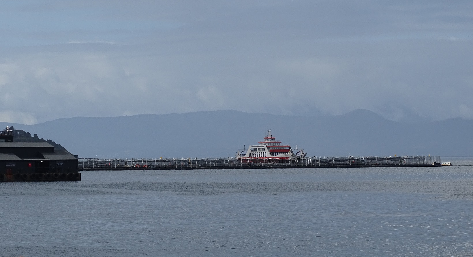 ProChile Los Lagos subraya liderazgo y soluciones regionales para la industria acuícola