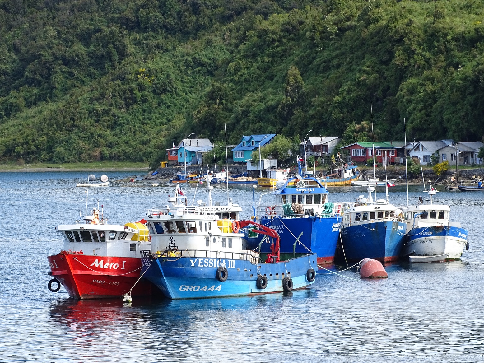 Reporte revela tasa de cumplimiento de los compromisos del Gobierno en acuicultura y pesca
