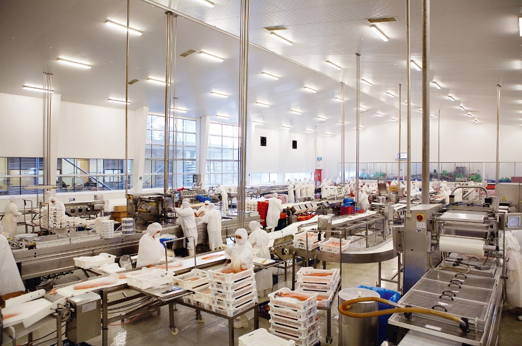 Salmón, mejillones y jurel lideran alza de exportaciones de Los Lagos