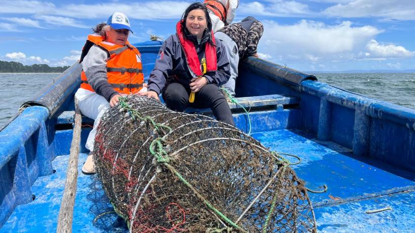 Buzos mariscadores de Laraquete cosechan primeras ostras japonesas en área de manejo