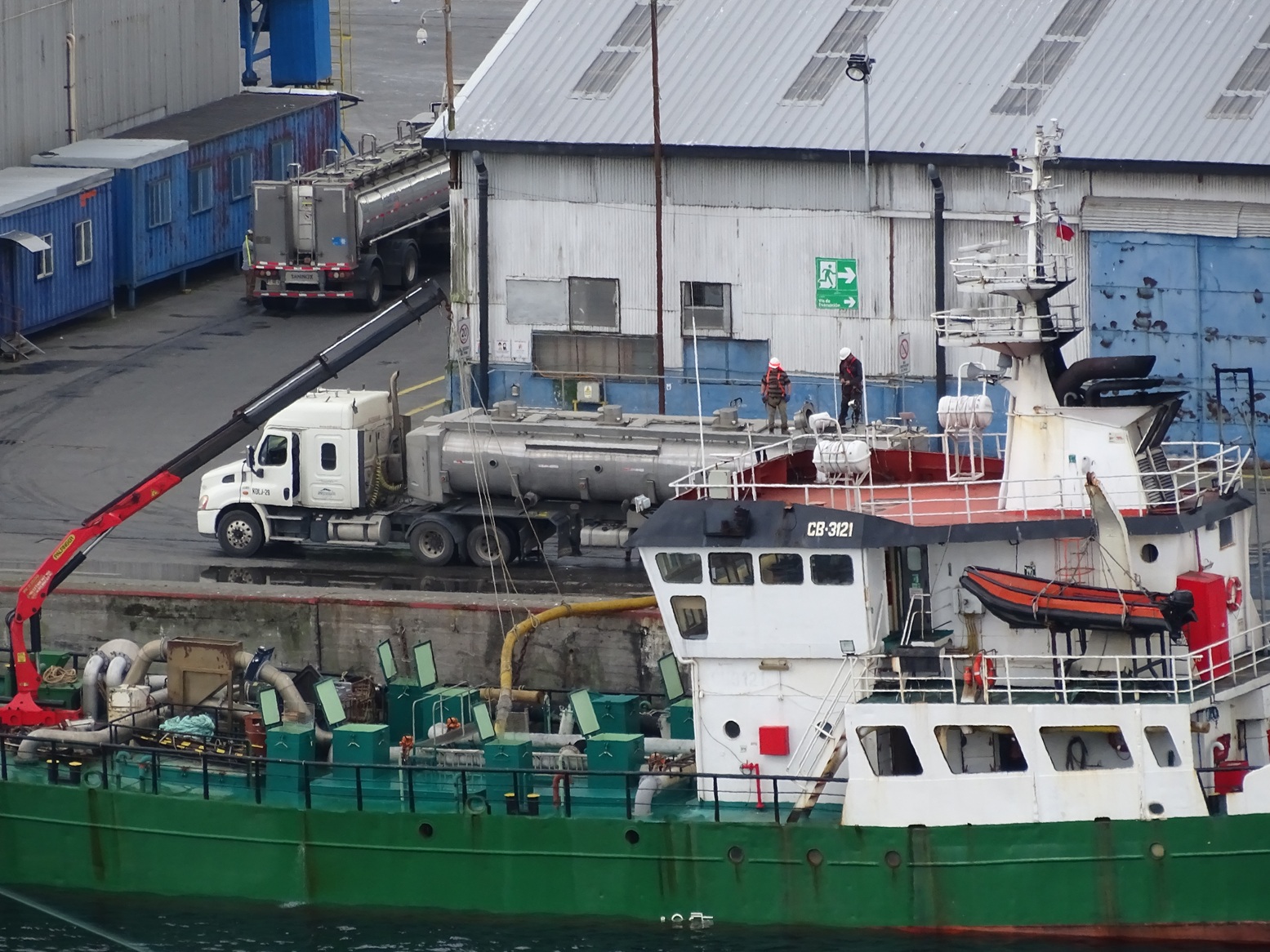 Evento de Salmofood ampliará conocimientos en smoltificación y transferencia de salmónidos al mar