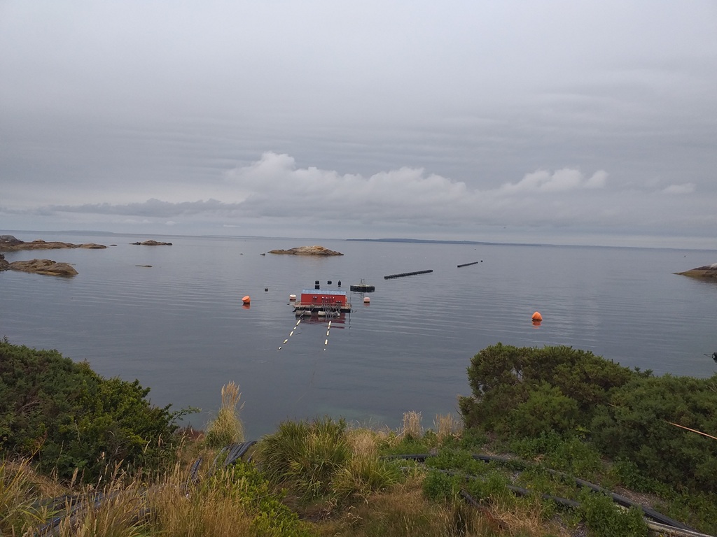 Proyectan a Centro Experimental de Acuicultura y Ciencias del Mar&nbsp;de Metri como eje para el desarrollo científico