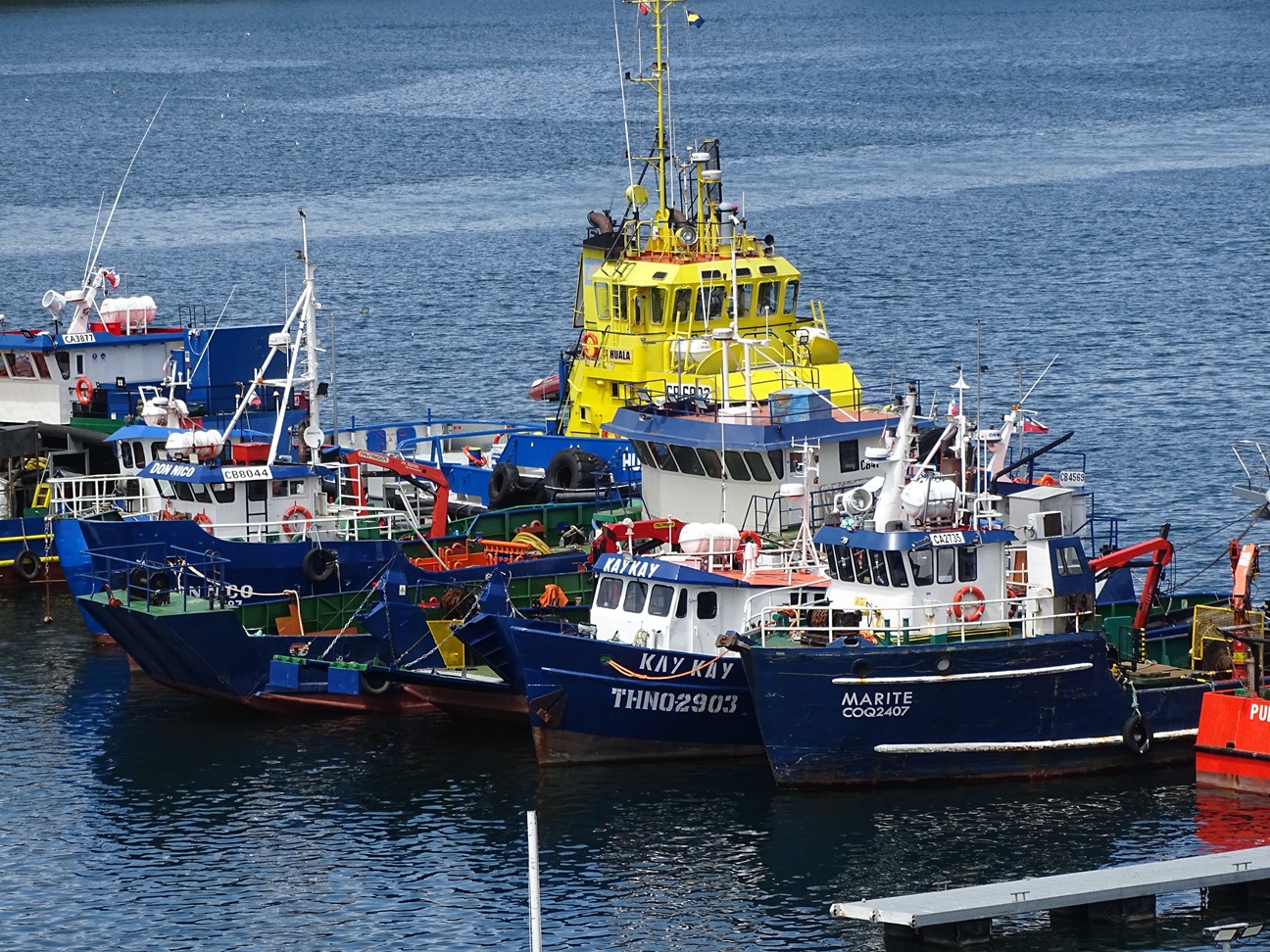 Invitan al sector marítimo - portuario de Los Lagos a sumarse a Acuerdo de Producción Limpia