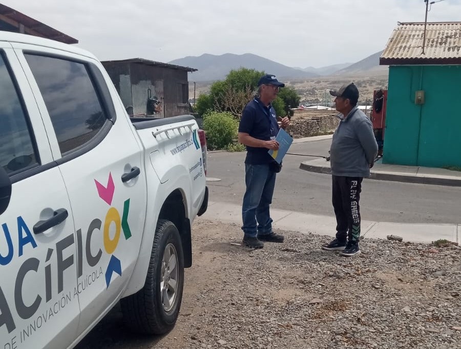 Nuevo proyecto busca diversificar la pesca artesanal de Atacama a través de la innovación acuícola