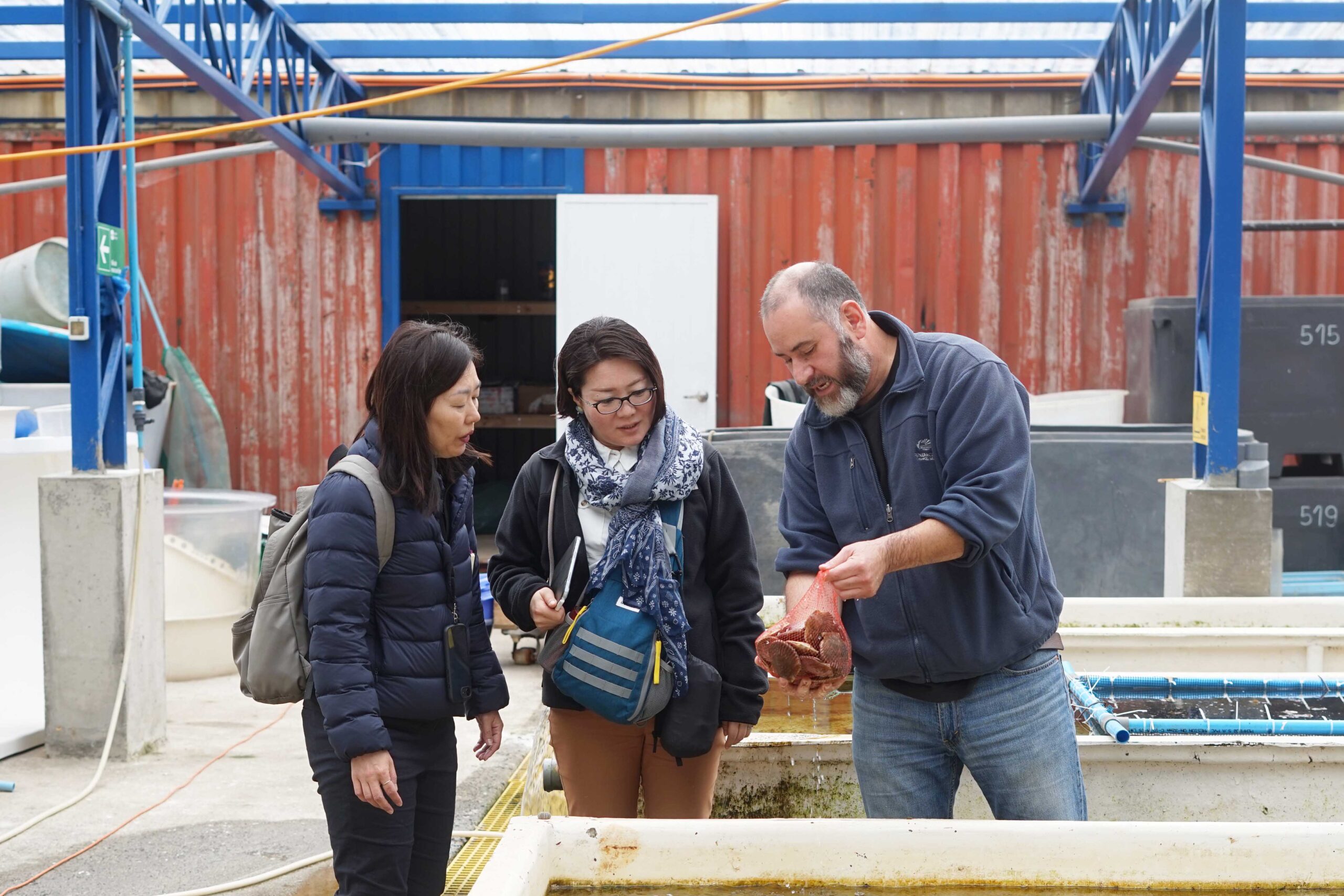 Académicas japonesas visitaron Fundación Chinquihue para investigar el desarrollo acuícola del sur de Chile