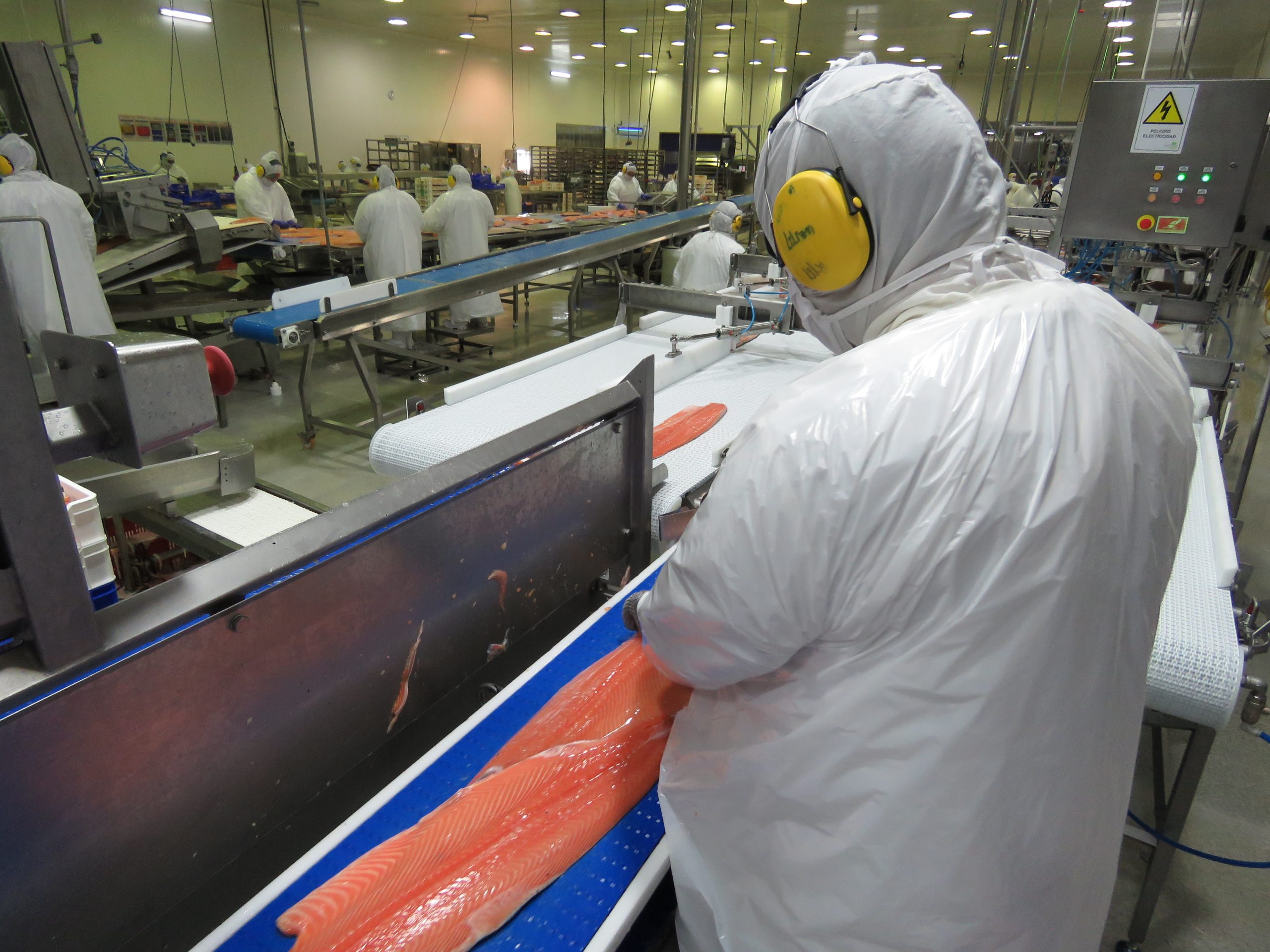 ¿Cuáles son las empresas que más exportan salmones y truchas desde Chile?