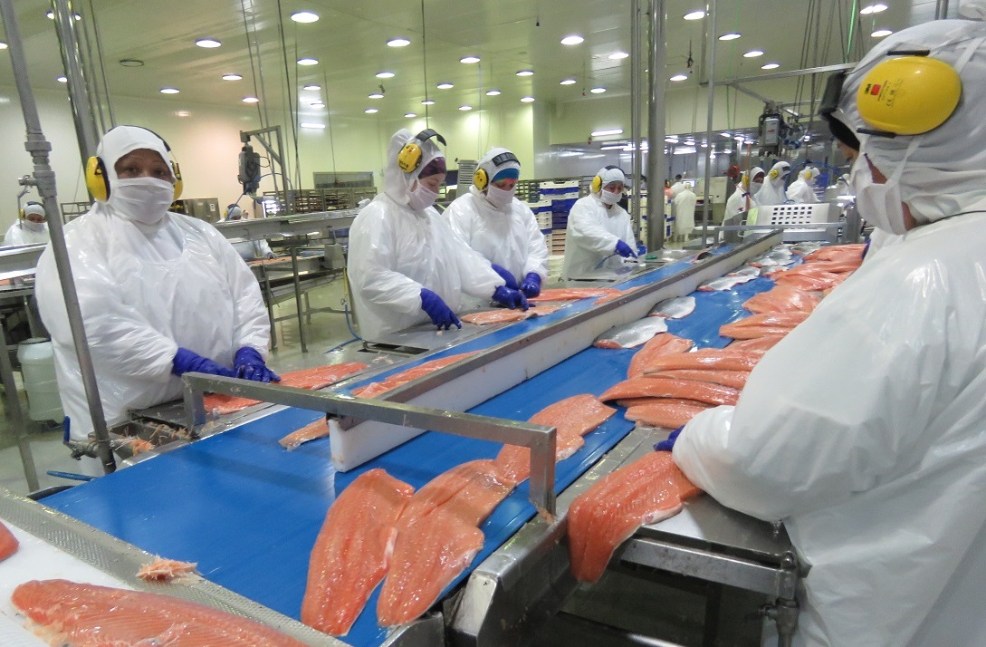 Destacan el aumento de las exportaciones de salmones y truchas a Brasil