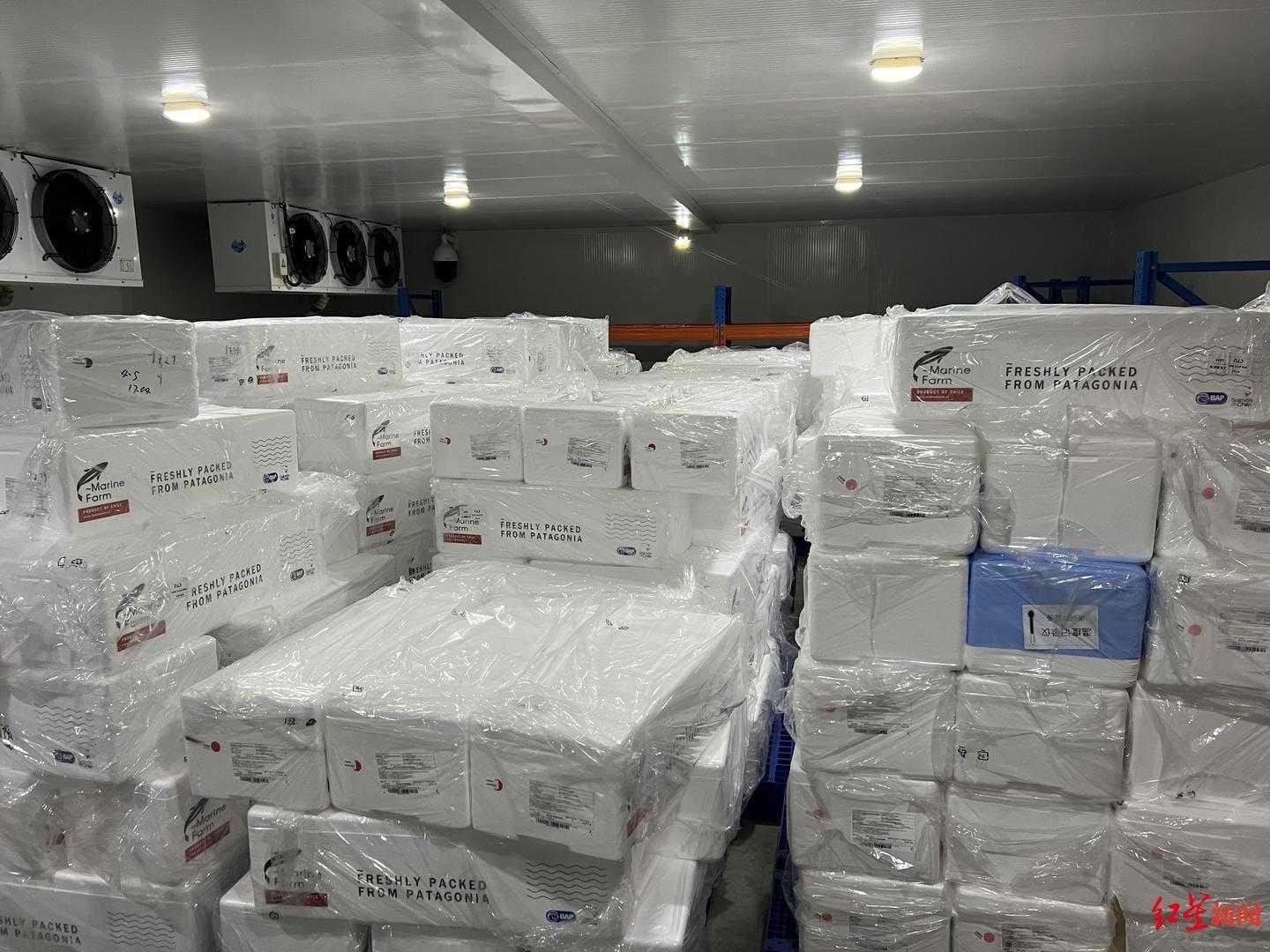 Chile pone en marcha la exportación de salmón coho fresco a China