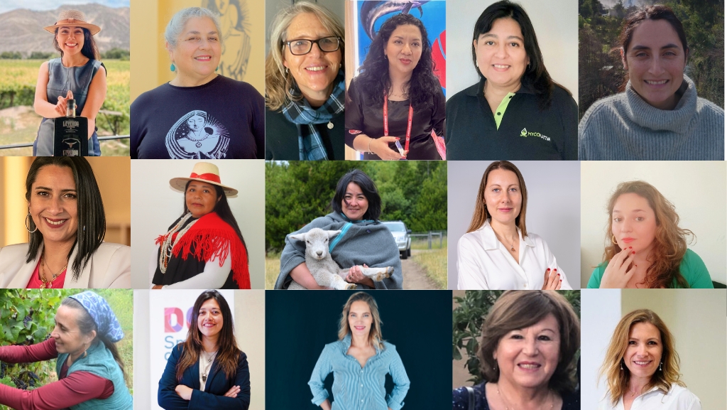 ¿Quiénes son las tres mujeres exportadoras de la acuicultura y pesca destacadas por ProChile?